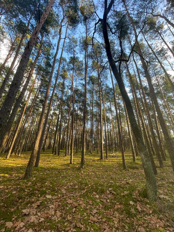 Park Rekreacyjno-Biznesowy Las Woda Wilga Exterior foto